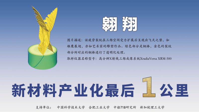 广东工业添加剂价格波动背后的供应链逻辑