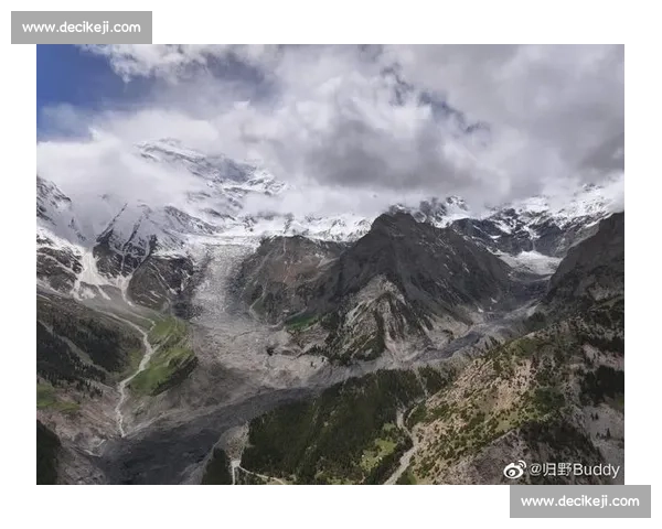 在激烈角逐中一路拼搏却最终惨遭淘汰的背后故事与成长反思启示